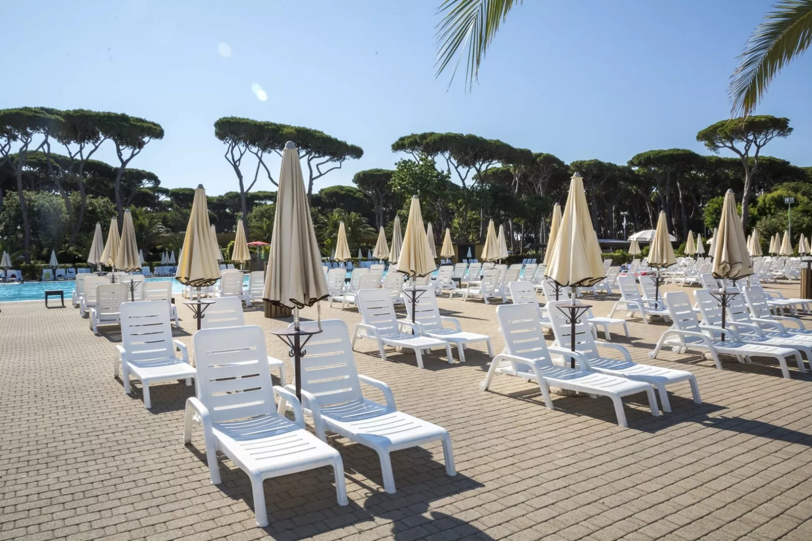 Hu Park Albatros Dorf-