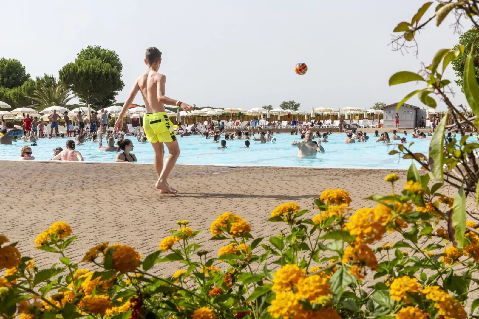 Hu Park Albatros Dorf-