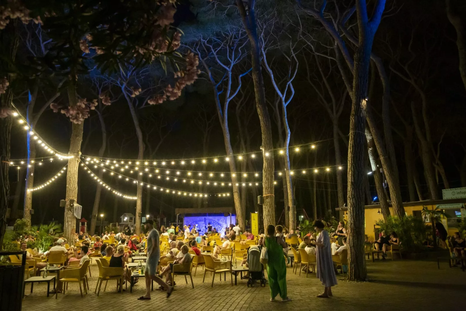 Hu Park Albatros Dorf-