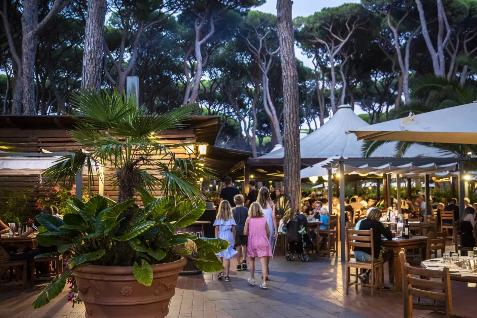 Hu Park Albatros Dorf-