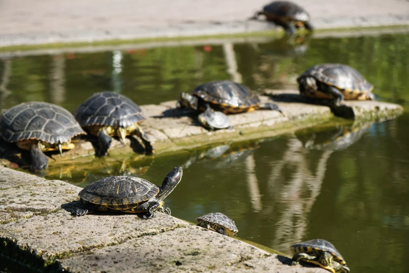 Campingplatz Union Lido-