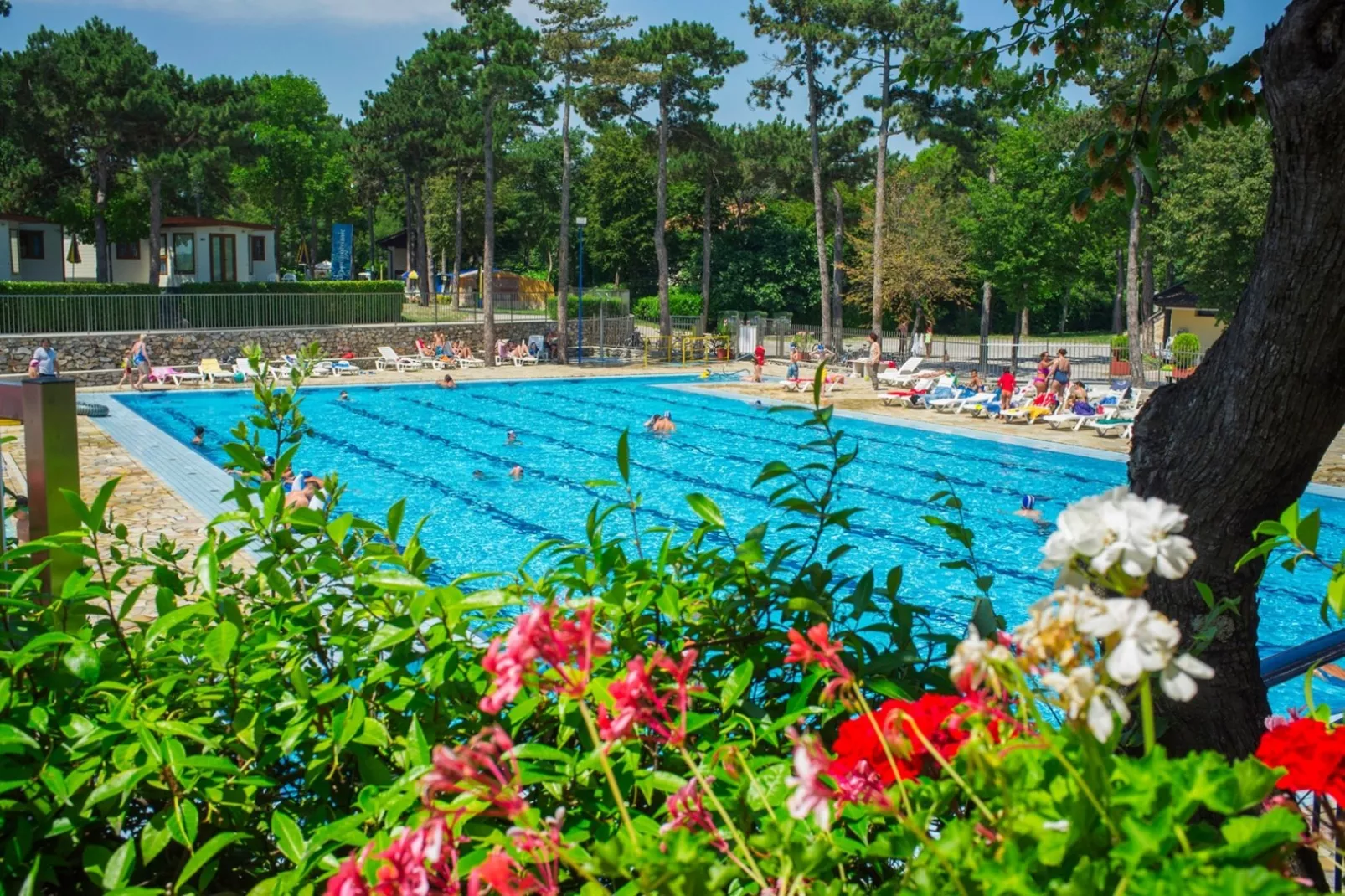 Campingdorf Mare Pineta-