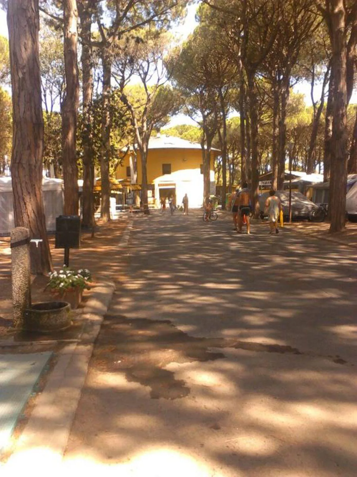 Campingdorf Mare Pineta-