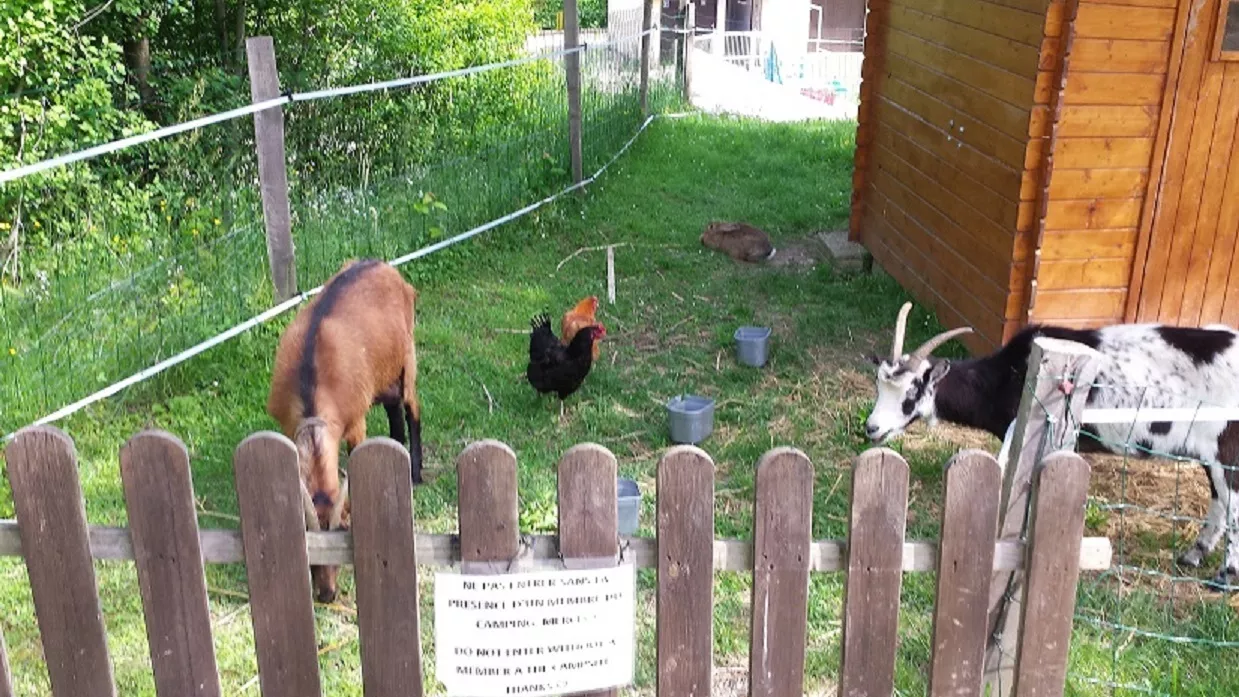 Campingplatz Le Grand Cerf-