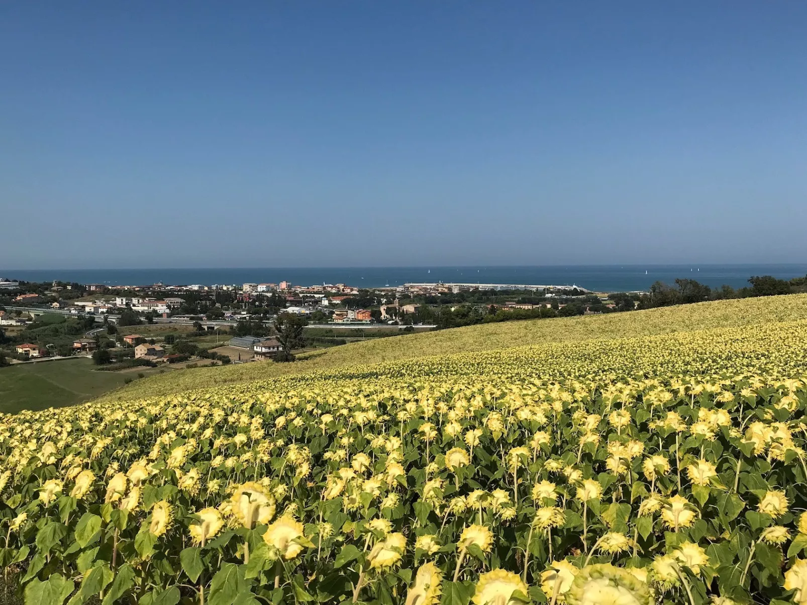 Agricamping Abbruzzetti