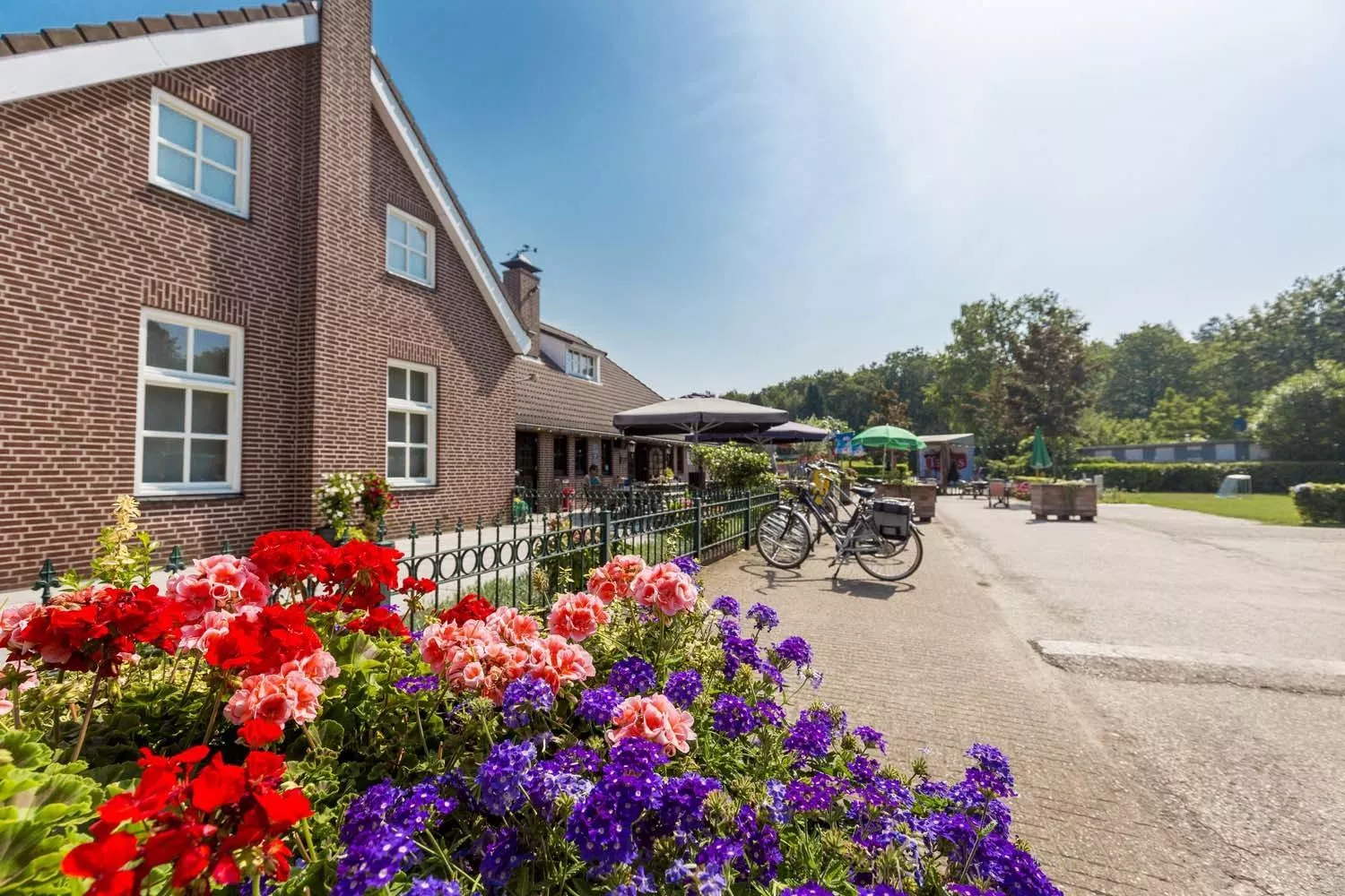 Camping Bauernhof De Schaaf