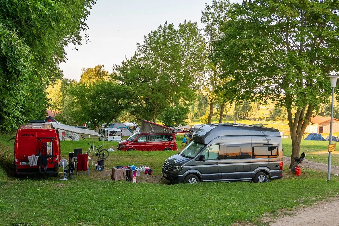 Bernsteinreiter Barth-