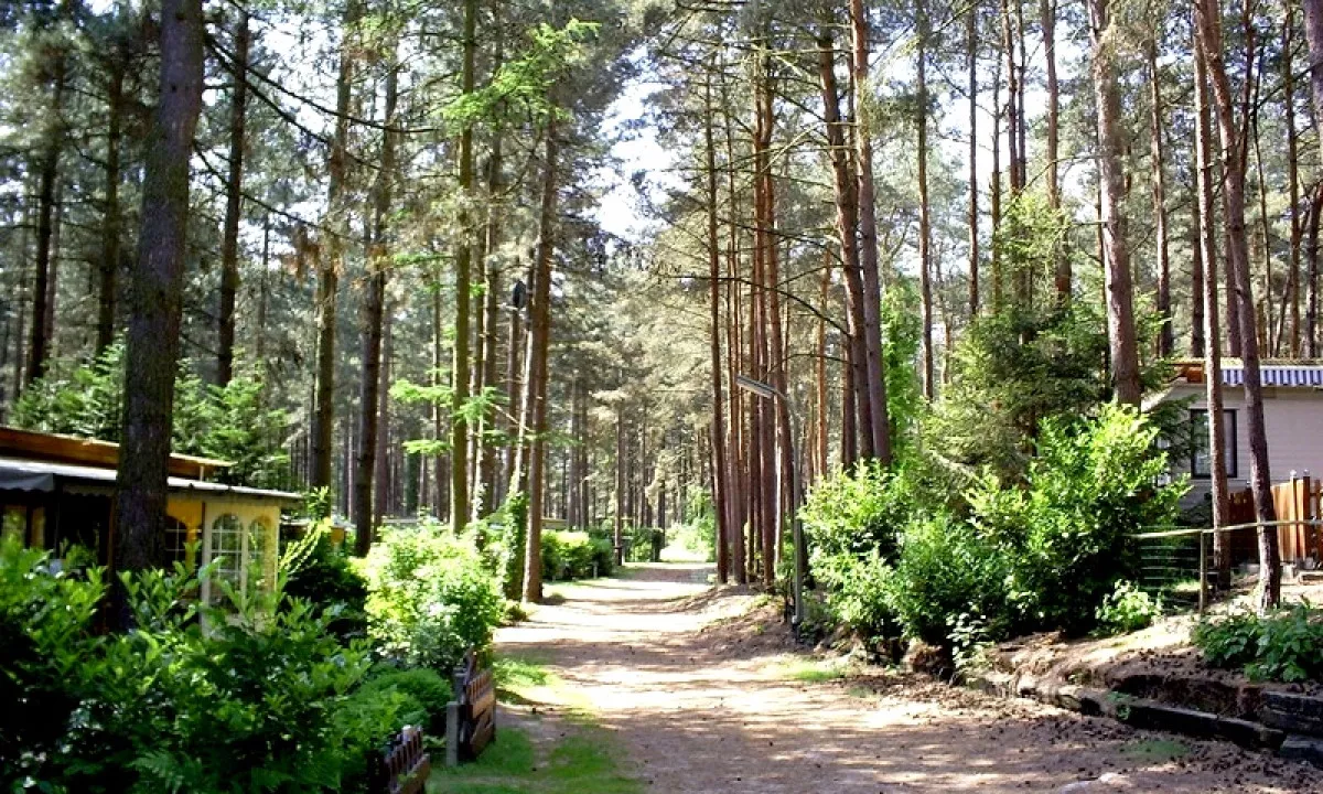 Campingplatz Siesta-