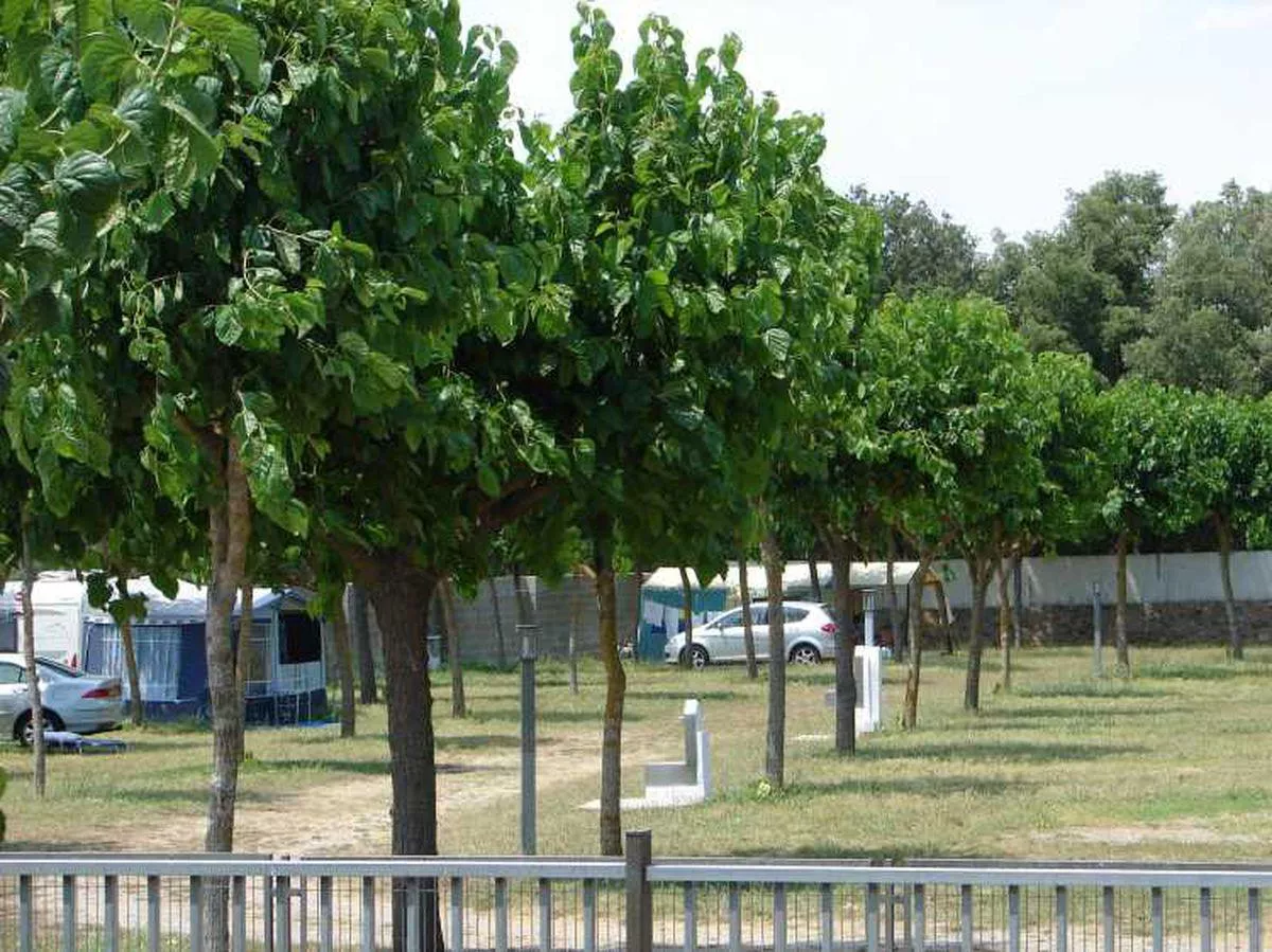 Campingplatz Mas Patoxas-