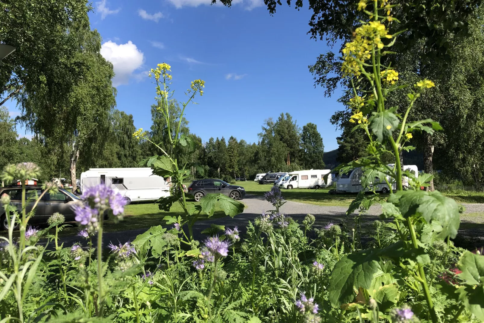 Campingplatz Hammarstrands Camping