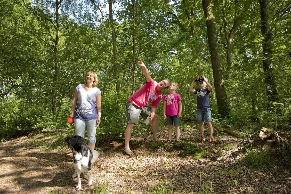 Campingplatz Si Es An