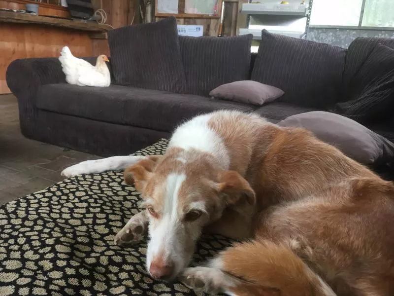 Campingplatz La Semnadisse-