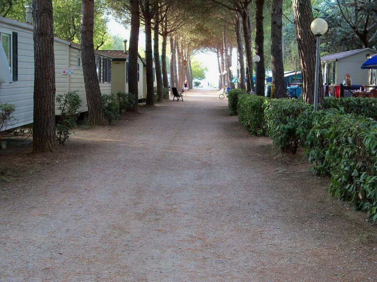 Hu Montescudaio Dorf-