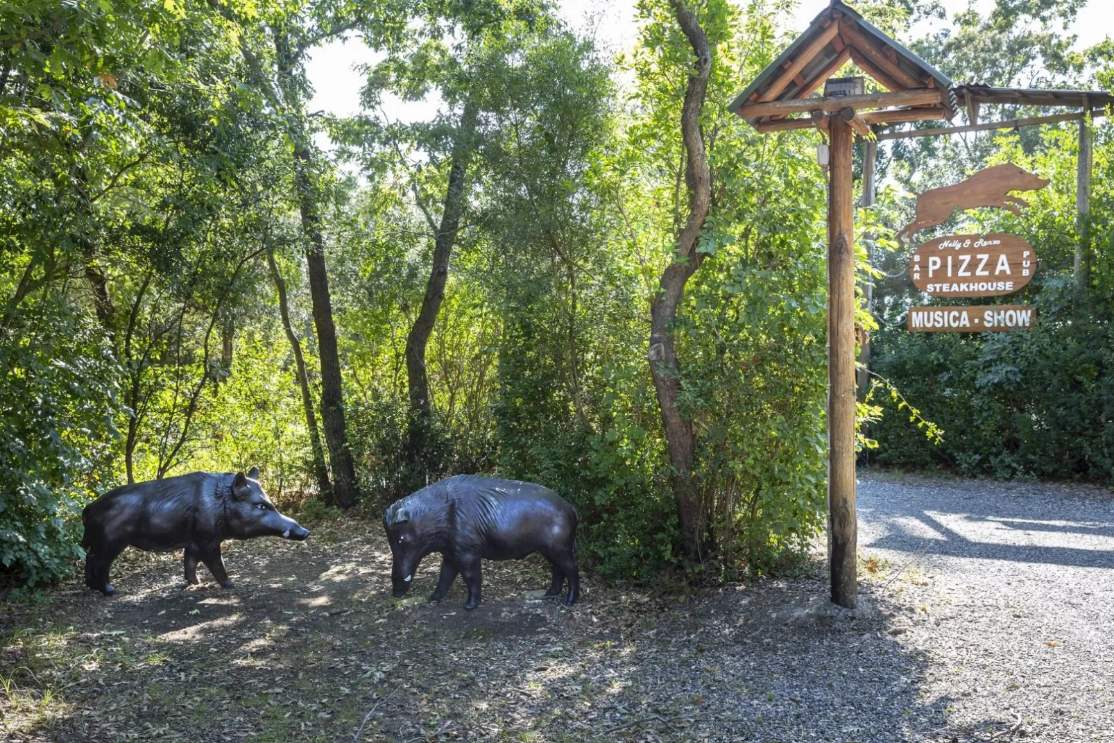 Hu Montescudaio Dorf-