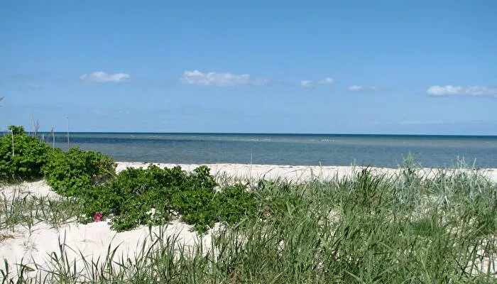 Dalgård Campingplatz