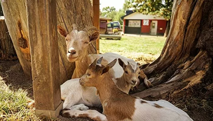 Campingplatz Hohenbusch