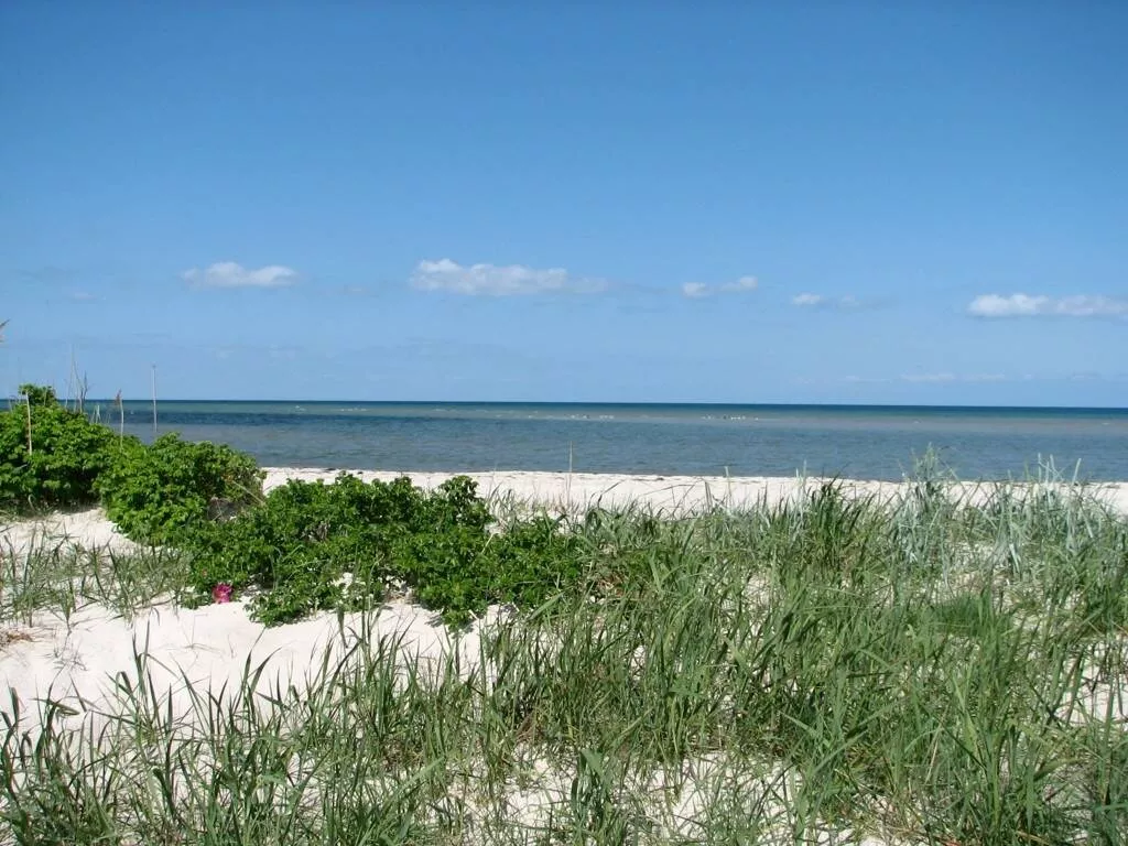 Dalgård Campingplatz-