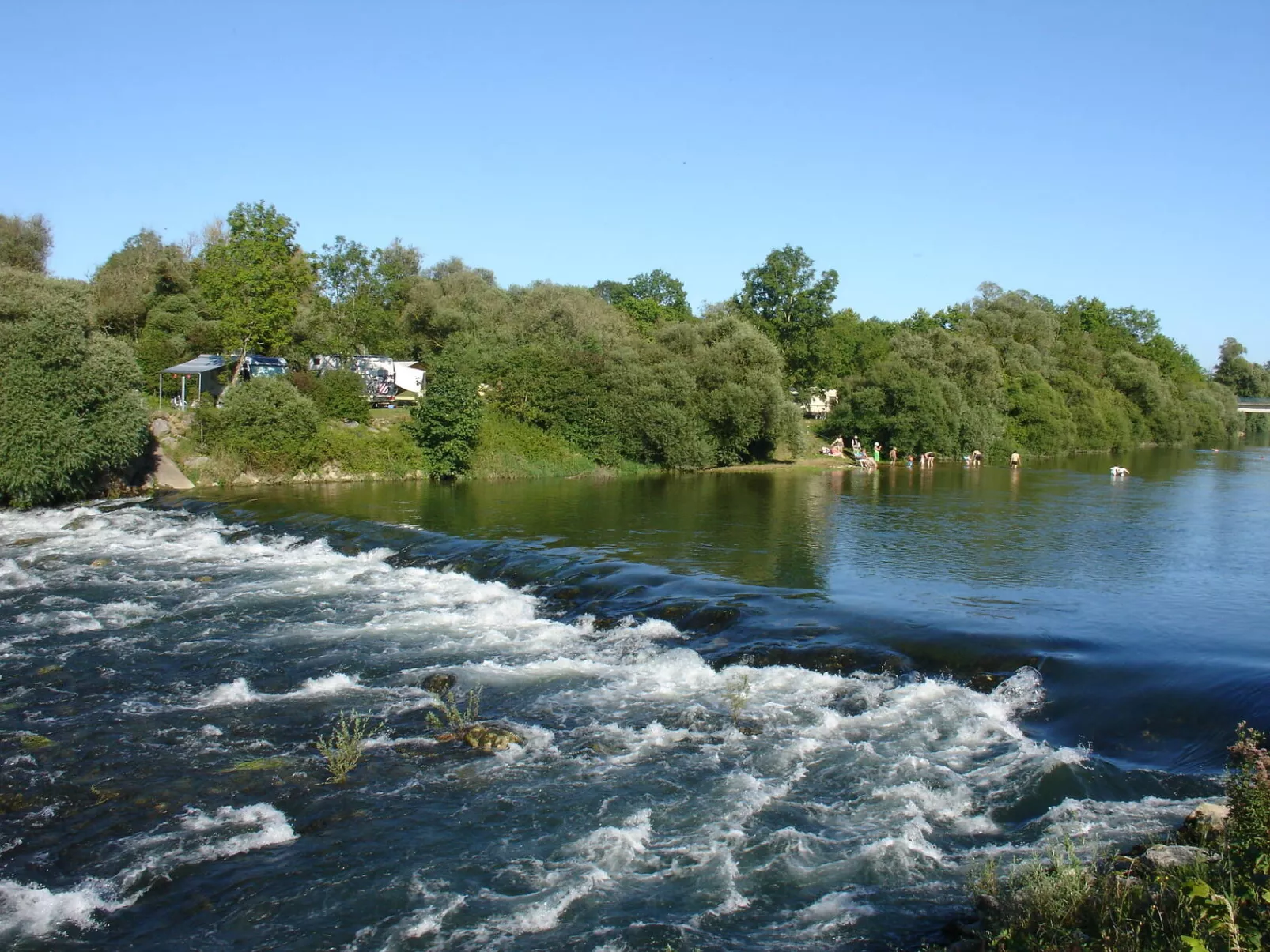 Flower Camping Die 3 Bären