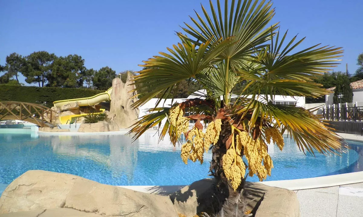 Campingplatz La Yole-