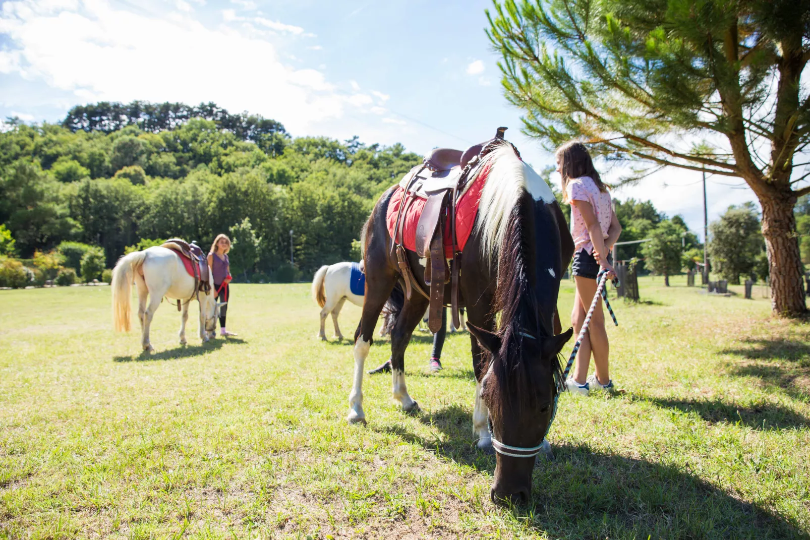 Campingplatz Domaine La Garenne
