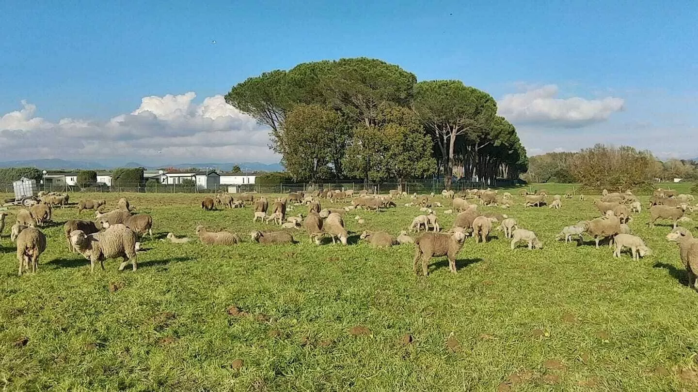 Campingplatz Le Vaudois-