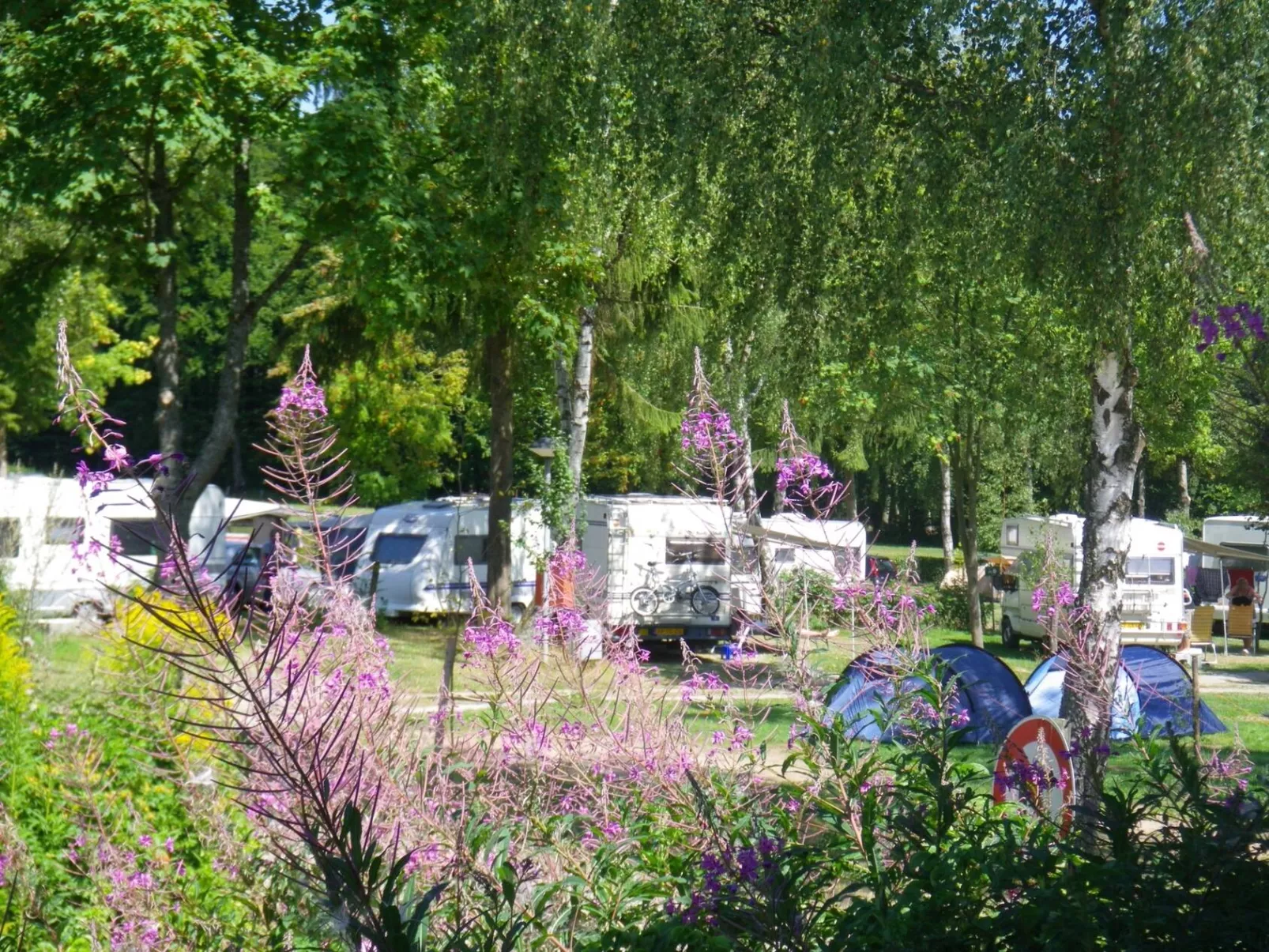 Campingplatz Auf Kengert