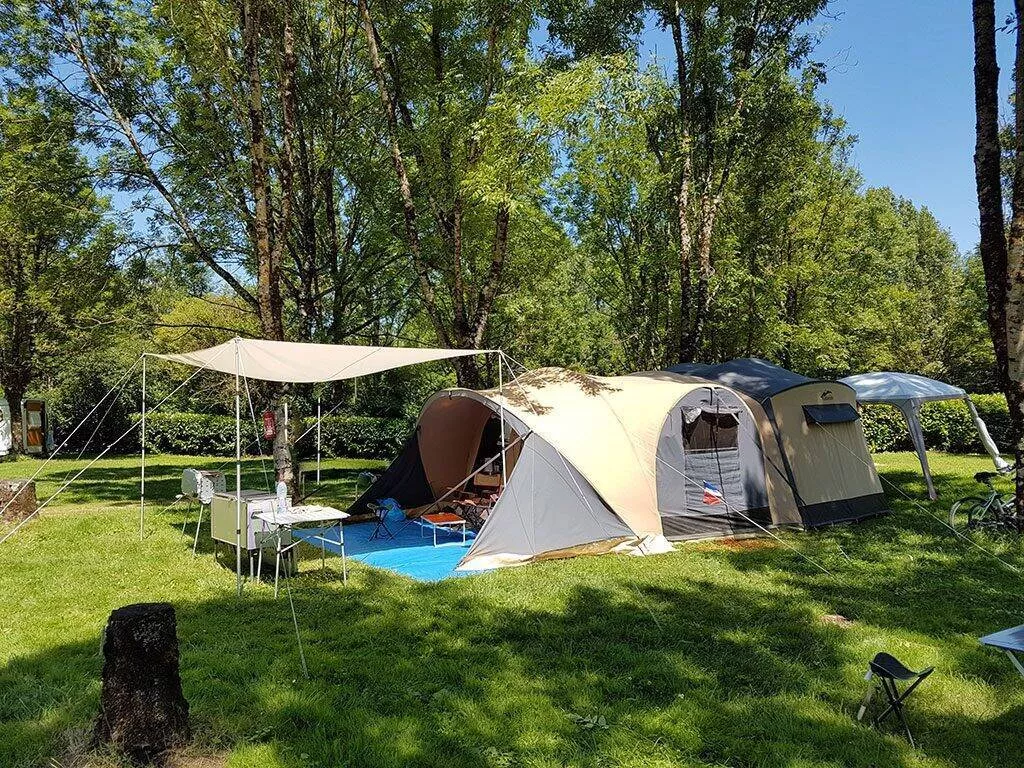 Flower Camping Die 3 Bären-